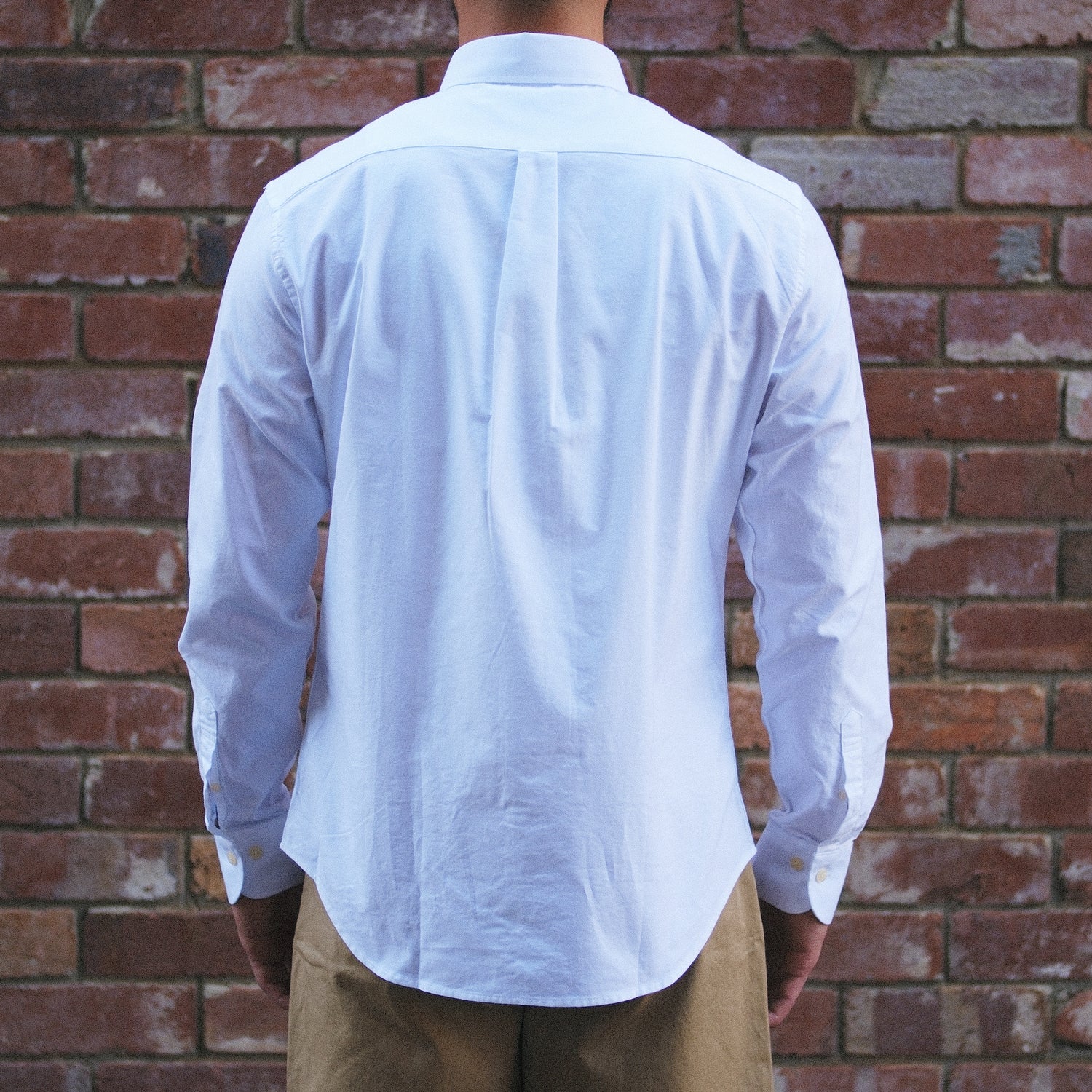 Oxford Button Down Shirt / White